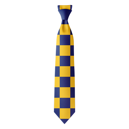 Style 10 Custom Polyester Ties